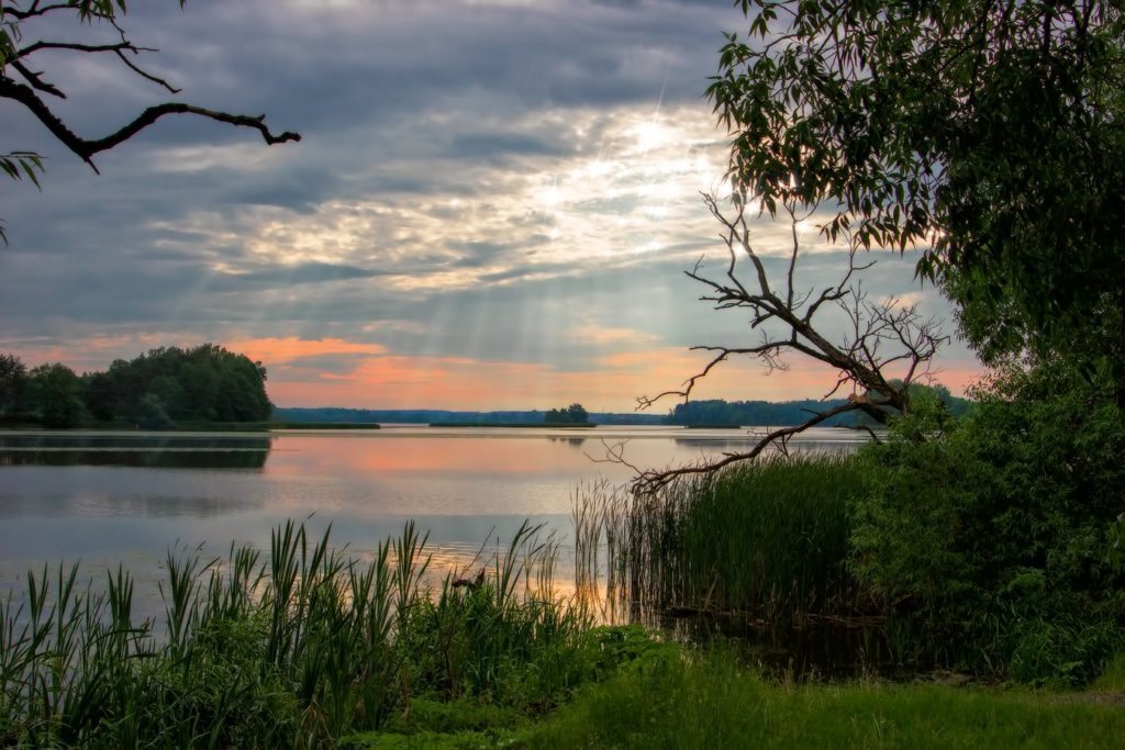 Природа Беларуси. Озеро