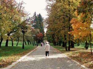 Дорожка в Лошицком парке, Минск