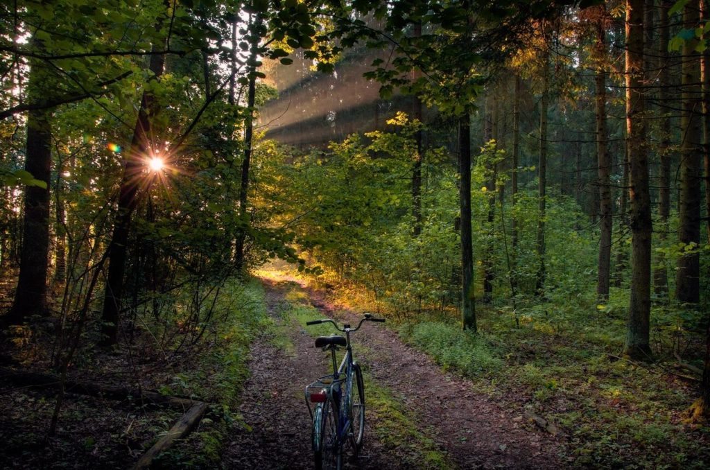 national park bike path belarus