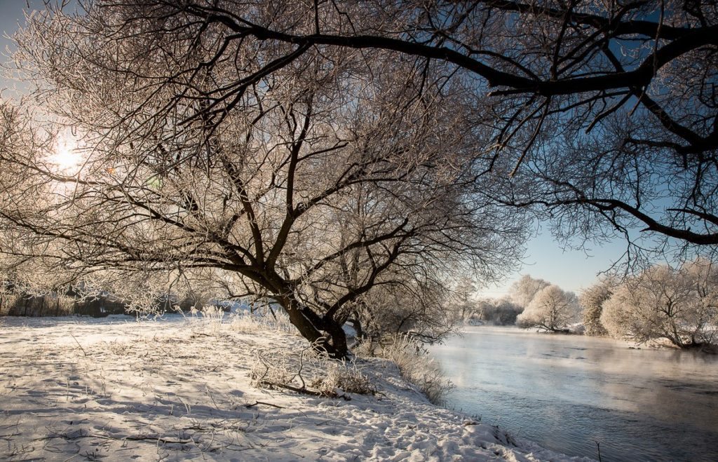 Nature Of Belarus. Winter nature