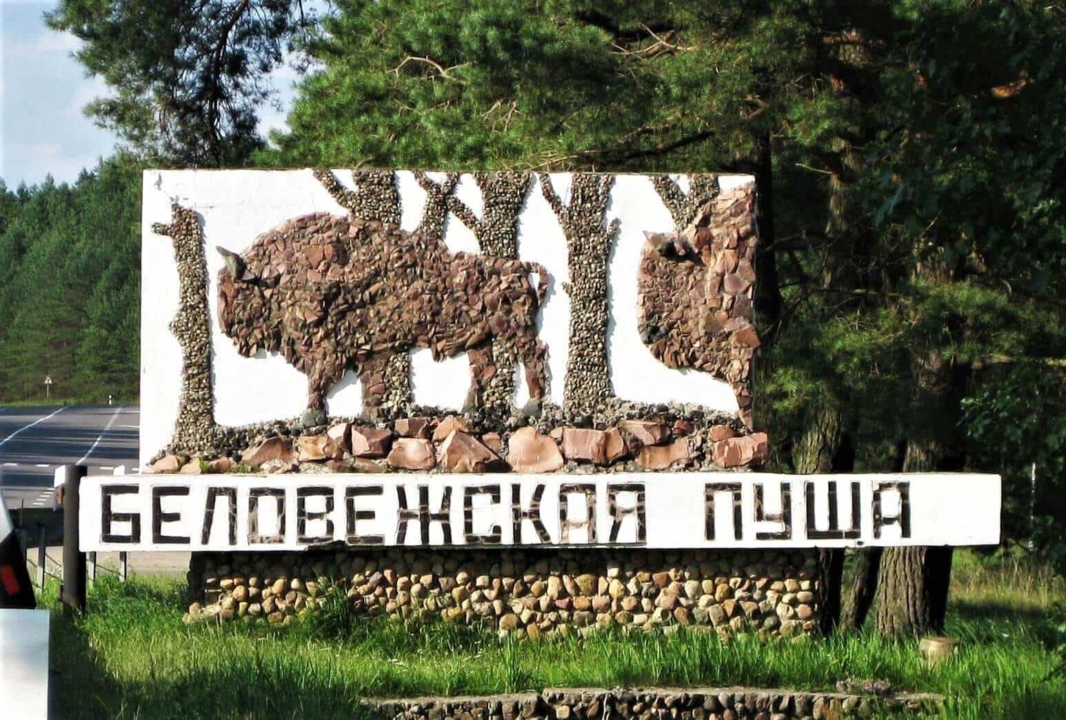 Беловежская пуща. Самый большой лес в Европе - Visit-Belarus.com