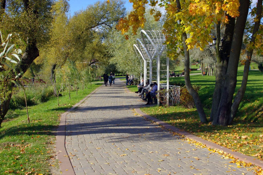 Benches in the Loshitsa Park
