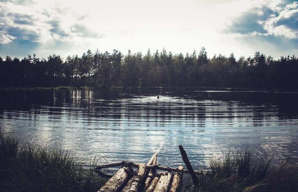 forest lake, fishing in Belarus