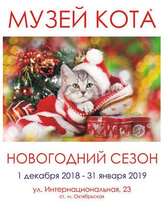 музей кота в новый год, Минск