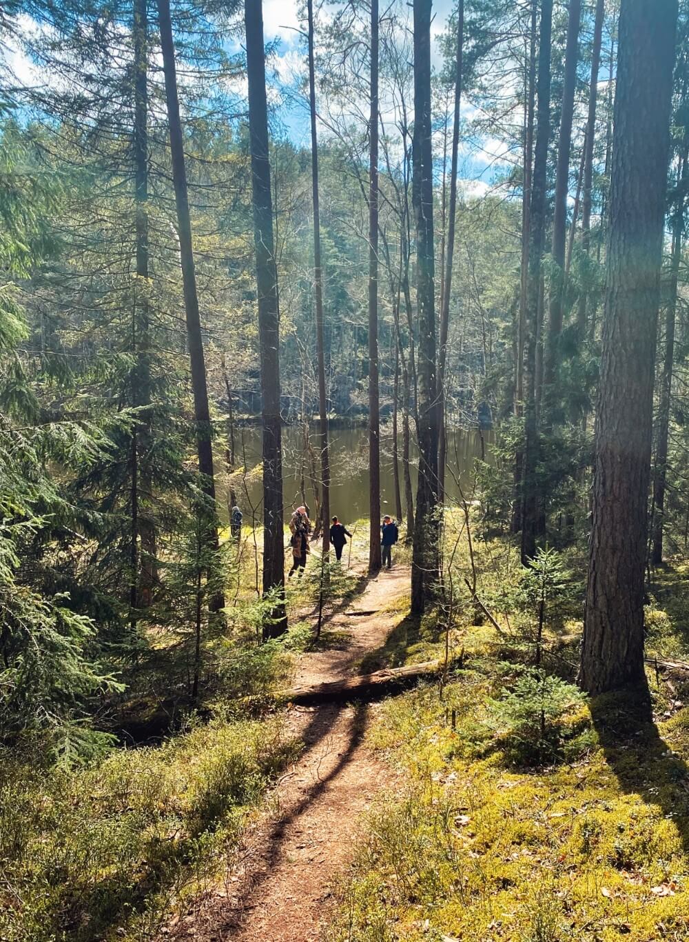 People hiking in the forest near river in Belarus