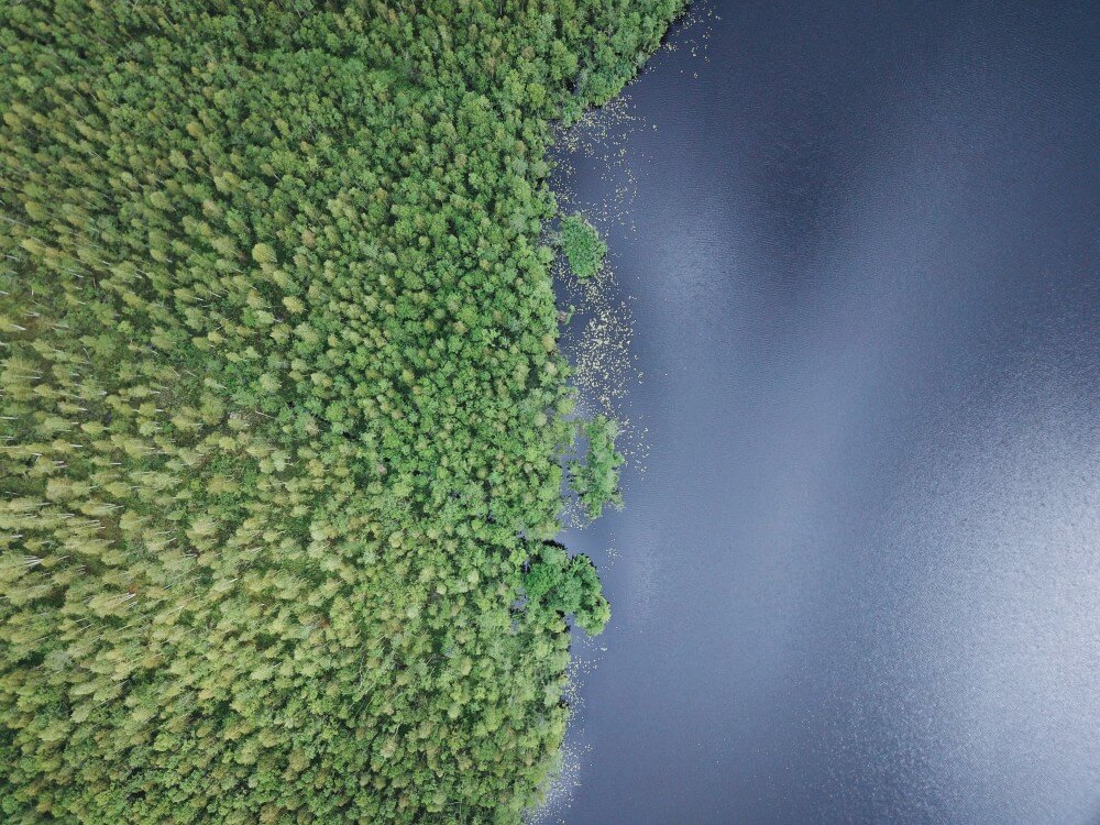 Forest near lake in Belarus view from the drone