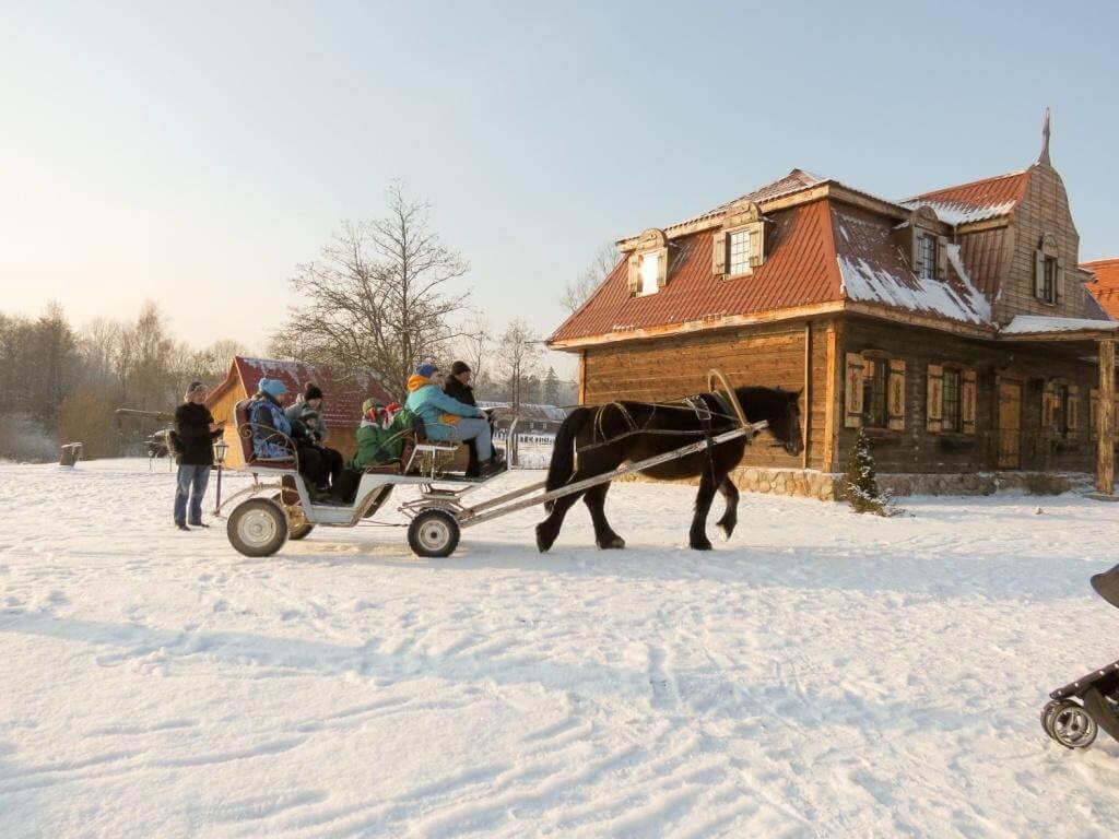 Катание в карете с конной упряжкой в парке Сула, Беларусь зимой